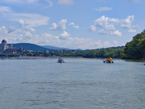 Vízivándorok a Duna-kanyarban