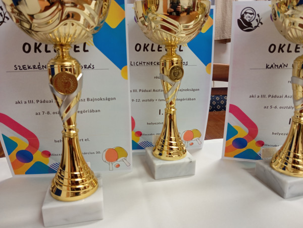 A III. Páduai Asztalitenisz Bajnokság eredményei