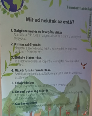 Teremtésvédelem és fenntarthatóság: vendégünk volt a svéd nagykövet