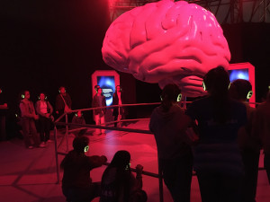 Lábnyomok és nyomkövetők